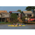 Team 48 / Raid l'Arbre Vert Cambodge - Canoe 20 km
