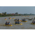 Raid l'Arbre Vert Cambodge - Canoe 20 km