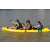 Team 86 / Raid l'Arbre Vert Cambodge - Canoe 20 km