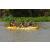 Team 79 / Raid l'Arbre Vert Cambodge - Canoe 20 km