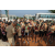 Raid l'Arbre Vert Cambodge - Canoe 20 km