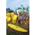 Raid l'Arbre Vert Cambodge - Canoe 20 km