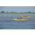 Team 85 / Raid l'Arbre Vert Cambodge - Canoe 20 km