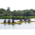 Team 77 / Raid l'Arbre Vert Cambodge - Canoe 20 km