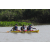 Team 64 / Raid l'Arbre Vert Cambodge - Canoe 20 km