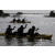 Raid l'Arbre Vert Cambodge - Canoe 20 km