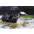 Team 29 / Raid l'Arbre Vert Cambodge - Canoe 20 km