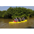 Team 49 / Raid l'Arbre Vert Cambodge - Canoe 20 km