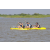 Team 73 / Raid l'Arbre Vert Cambodge - Canoe 20 km