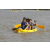 Team 86 / Raid l'Arbre Vert Cambodge - Canoe 20 km