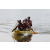 Team 07 / Raid l'Arbre Vert Cambodge - Canoe 20 km