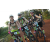Team 47 / Raid l'Arbre Vert Cambodge - VTT