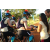 Team 11 / Raid l'Arbre Vert Cambodge - VTT