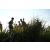 Raid l'Arbre Vert Cambodge - VTT