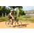 Team 80 / Raid l'Arbre Vert Cambodge - VTT