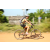 Team 13 / Raid l'Arbre Vert Cambodge - VTT