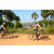 Team 72 / Raid l'Arbre Vert Cambodge - VTT