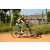 Team 31 / Raid l'Arbre Vert Cambodge - VTT