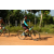 Team 31 / Raid l'Arbre Vert Cambodge - VTT