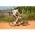 Team 31 / Raid l'Arbre Vert Cambodge - VTT