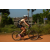 Team 73 / Raid l'Arbre Vert Cambodge - VTT