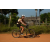 Team 73 / Raid l'Arbre Vert Cambodge - VTT