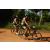 Team 23 / Raid l'Arbre Vert Cambodge - VTT