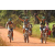 Team 23 / Raid l'Arbre Vert Cambodge - VTT
