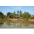 Raid l'Arbre Vert Cambodge - VTT
