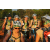 Team 71 / Raid l'Arbre Vert Cambodge - VTT