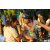 Team 86 / Raid l'Arbre Vert Cambodge - VTT