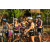 Raid l'Arbre Vert Cambodge - VTT