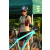 Team 62 / Raid l'Arbre Vert Cambodge - VTT