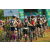 Raid l'Arbre Vert Cambodge - VTT