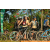 Team 09 / Raid l'Arbre Vert Cambodge - VTT