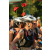 Team 09 / Raid l'Arbre Vert Cambodge - VTT