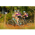 Team 19 / Raid l'Arbre Vert Cambodge - VTT