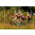 Team 19 / Raid l'Arbre Vert Cambodge - VTT