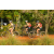 Team 52 / Raid l'Arbre Vert Cambodge - VTT