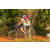 Team 54 / Raid l'Arbre Vert Cambodge - VTT