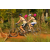 Team 54 / Raid l'Arbre Vert Cambodge - VTT