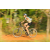 Team 16 / Raid l'Arbre Vert Cambodge - VTT