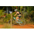 Team 09 / Raid l'Arbre Vert Cambodge - VTT