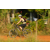 Team 09 / Raid l'Arbre Vert Cambodge - VTT