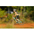 Team 03 / Raid l'Arbre Vert Cambodge - VTT