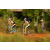 Team 40 / Raid l'Arbre Vert Cambodge - VTT
