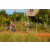 Team 53 / Raid l'Arbre Vert Cambodge - VTT