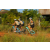 Team 85 / Raid l'Arbre Vert Cambodge - VTT