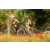 Team 44 / Raid l'Arbre Vert Cambodge - VTT