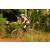 Team 12 / Raid l'Arbre Vert Cambodge - VTT